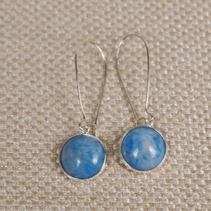 Blue Ocean Jasper Natural Stone Earrings